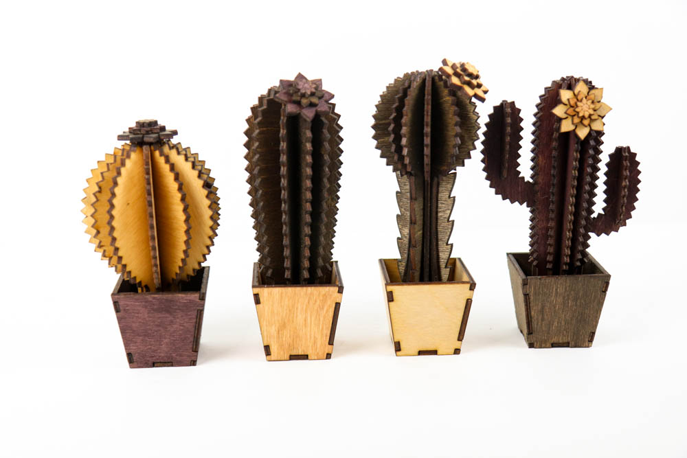 wooden cactus craft