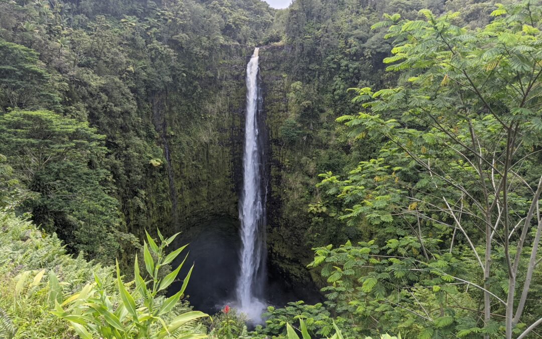 The Best Things to Do on the Big Island of Hawaii