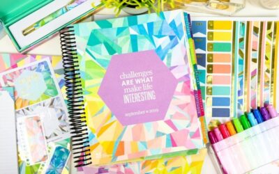 Erin Condren 2019/2020 Preview & Review