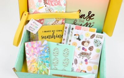 Erin Condren Summer 2019 Seasonal Surprise Box Review