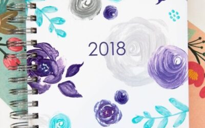 Ashley Shelly 2018 Planner Review