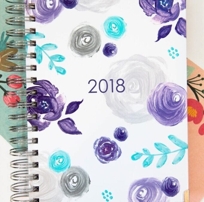 Ashley Shelly 2018 Planner Review